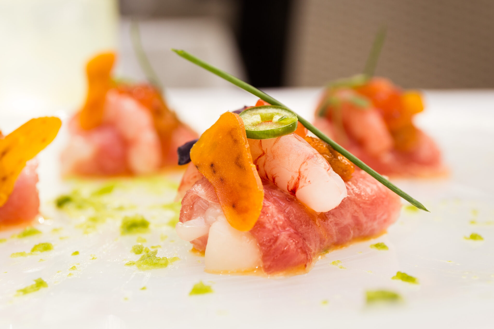 toro_scampi (11)